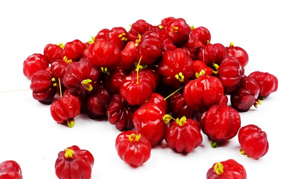 surinam cherry